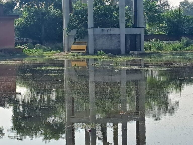 Read more about the article ਦਸਹਿਰ ਗਰਾਊਂਡ ਪਾਰਕ ਦਾ ਹਾਲ ਹੋਇਆ ਬੇਹਾਲ