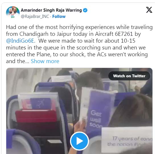 Read more about the article 