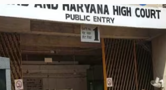 Read more about the article ਭਲਕੇ ਪੰਜਾਬ-ਹਰਿਆਣਾ ਹਾਈ ਕੋਰਟ ‘ਚ ਨਹੀਂ ਹੋਵੇਗਾ ਕੋਈ ਕੰਮ