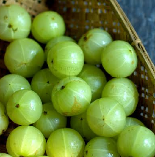 Read more about the article ਸਰਦੀਆਂ ‘ਚ ਆਂਵਲੇ ਦੀ ਚਟਨੀ ਦਾ ਸੇਵਨ ਸਿਹਤ ਲਈ ਫਾਇਦੇਮੰਦ