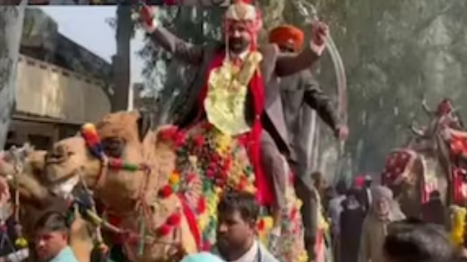 Read more about the article ਲਾੜਾ ਲਾੜੀ ਨੂੰ ਵਿਆਹੁਣ ਲਈ ਊਠ ‘ਤੇ ਆਇਆ, ਗੱਡੀਆਂ ਛੱਡ ਬਰਾਤੀ ਵੀ ਬੈਠ ਗਏ ਹਾਥੀ ‘ਤੇ