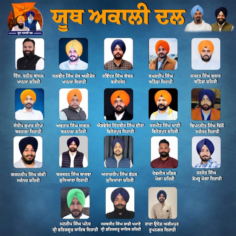 Read more about the article 