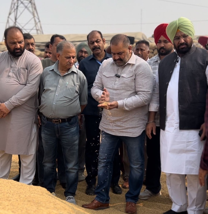 Read more about the article पूर्व सांसद सुशील रिंकू ने भोगपुर दानामंडी में धान खरीद का लिया जायजा