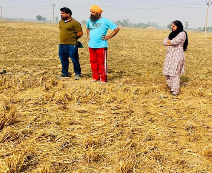 Read more about the article ਰੱਬੀ ਸੀਜ਼ਨ ਨੂੰ ਸਫਲਤਾਪੂਰਵਕ ਨੇਪਰੇ ਚਾੜ੍ਹਨ ਲਈ ਜਲੰਧਰ ਪ੍ਰਸਾਸ਼ਨ ਪੱਬਾਂ ਭਾਰ