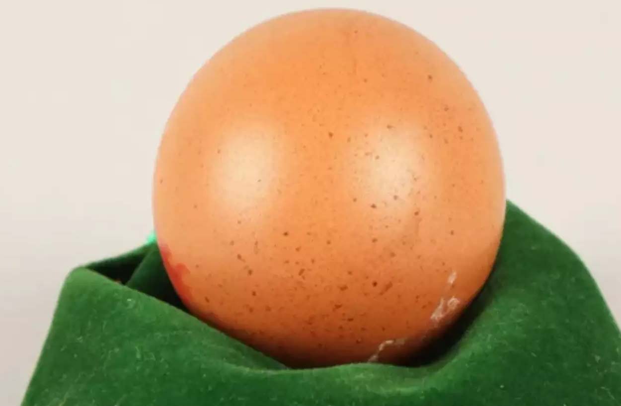 Read more about the article एक अंडा नीलामी में 21 हजार रुपये में बिका