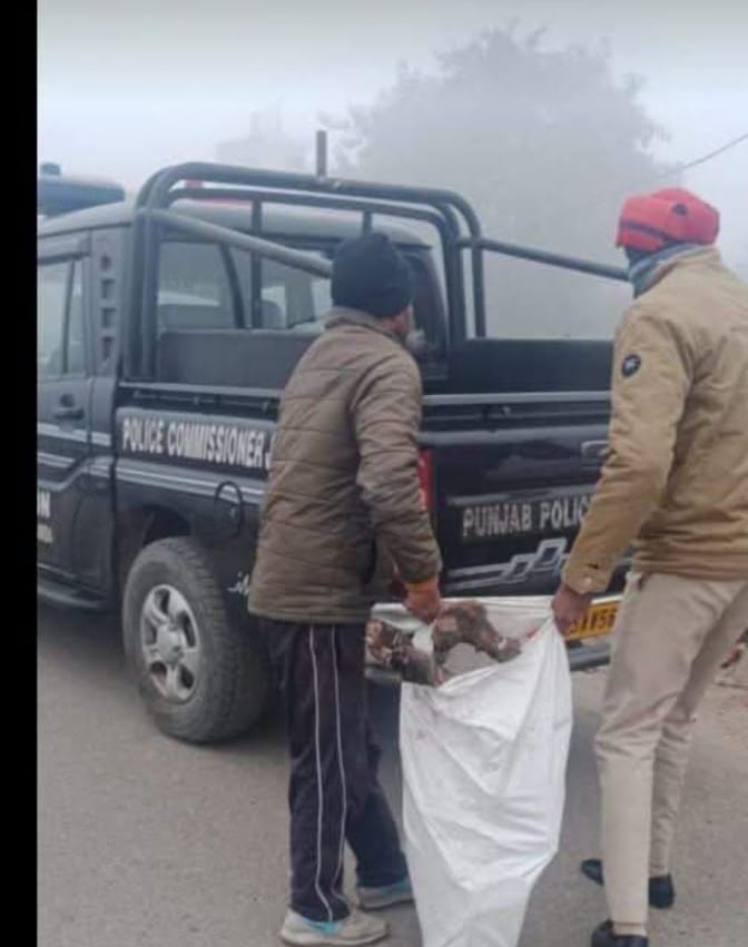 Read more about the article नशे का और सातवां गऊ माता के खून का बह रहा है : किशनलाल शर्मा