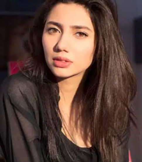 Read more about the article ਭਾਰਤ ਦੀ ਪਾਕਿਸਤਾਨੀ ਕਲਾਕਾਰਾਂ ਖਿਲਾਫ ਵੱਡੀ ਕਾਰਵਾਈ,ਮਸ਼ਹੂਰ ਕਲਾਕਾਰਾਂ ਦੇ ਇੰਸਟਾਗ੍ਰਾਮ ਅਕਾਊਂਟ ਬਲੌਕ