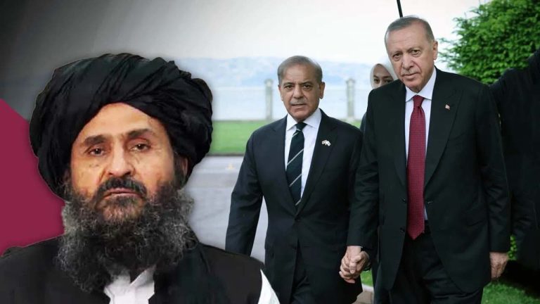 Read more about the article पाकिस्तान से दोस्ती के चक्कर में तुर्किए ने कर दी बड़ी गलती