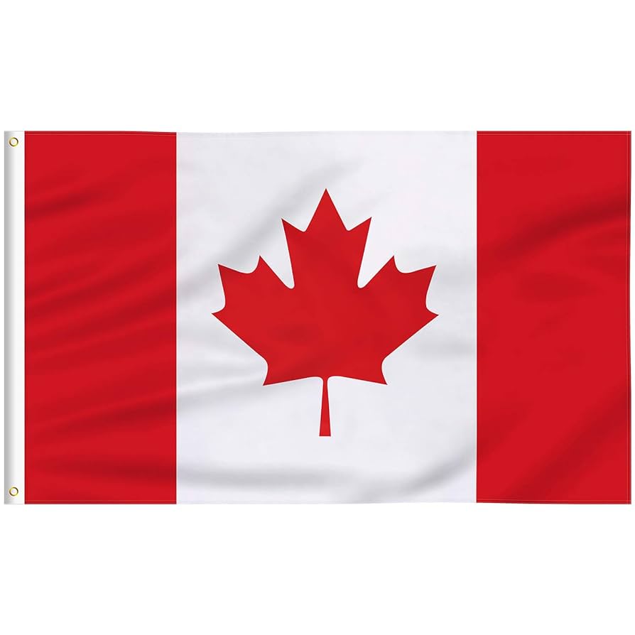 You are currently viewing 700,000 ਲੋਕਾਂ ਨੂੰ ਆਪਣੇ ਵੀਜ਼ਾ ਦੀ ਮਿਆਦ ਪੁੱਗਣ ਤੋਂ ਬਾਅਦ ਕੈਨੇਡਾ ਛੱਡਣ ਲਈ ਕੀਤਾ ਮਜਬੂਰ! ਕੈਨੇਡੀਅਨ ਸੰਸਦ ਵਿੱਚ ਬਿੱਲ ਪੇਸ਼