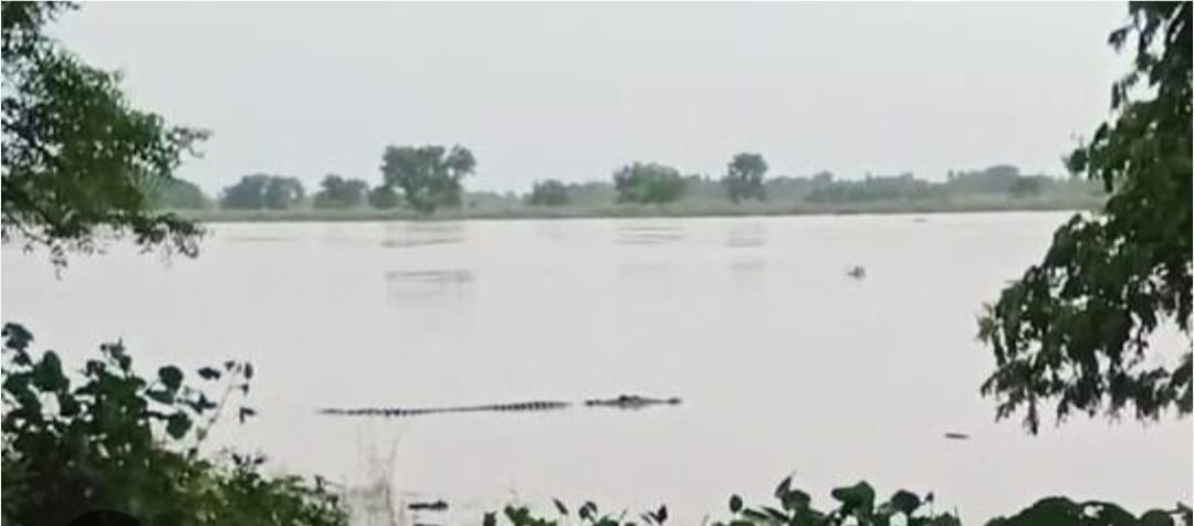 Read more about the article ਪੰਜਾਬ ‘ਚ ਅਗਲੇ 36 ਘੰਟਿਆਂ ਵਿਚ ਵੱਡੀ ਤਬਾਹੀ ਦੀ ਚਿਤਾਵਨੀ