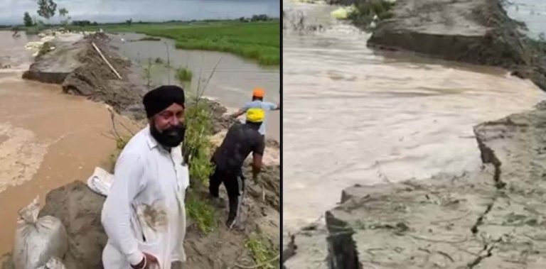 Read more about the article ਪਾਣੀ ਵਧਣ ਕਾਰਨ ਕਿਸਾਨਾਂ ਦੀਆਂ ਫਸਲਾਂ ਤਬਾਹ