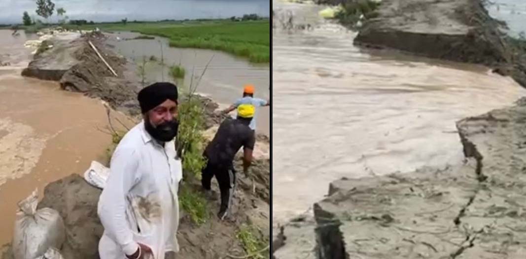 You are currently viewing ਪਾਣੀ ਵਧਣ ਕਾਰਨ ਕਿਸਾਨਾਂ ਦੀਆਂ ਫਸਲਾਂ ਤਬਾਹ