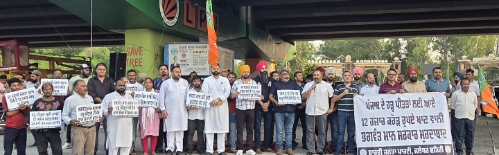 Read more about the article सांसद सुशील रिंकू की अगुवाई में भाजपा कार्यकर्ताओं ने AAP सरकार के खिलाफ किया धरना प्रदर्शन