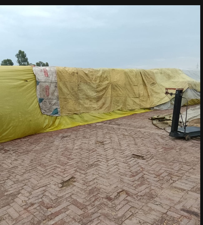 Read more about the article ਮੀਂਹ ਦੇ ਮੱਦੇਨਜ਼ਰ ਡਿਪਟੀ ਕਮਿਸ਼ਨਰ ਵੱਲੋਂ ਮੰਡੀਆਂ ’ਚ ਤਰਪਾਲਾਂ ਦੇ ਢੁੱਕਵੇਂ ਪ੍ਰਬੰਧ ਕਰਨ ਦੀ ਹਦਾਇਤ