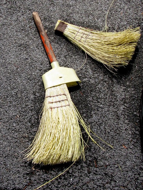 Read more about the article 