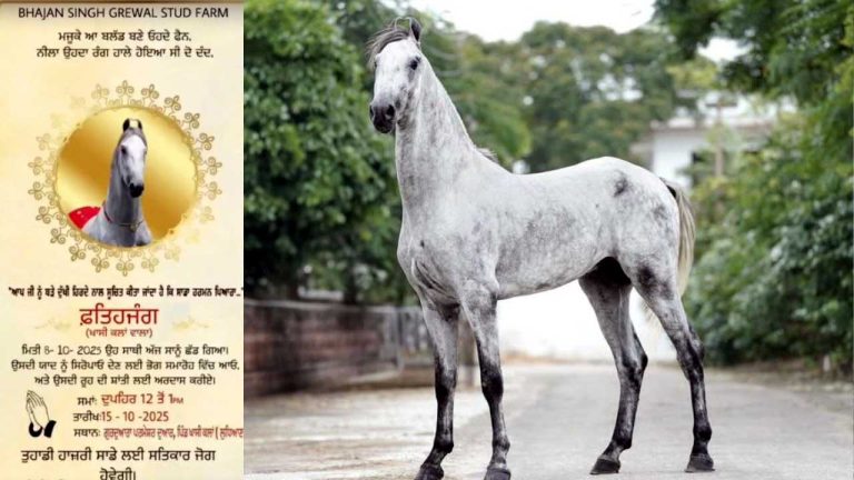 Read more about the article ਘੋੜੇ ਨਾਲ ਇੰਨਾ ਪਿਆਰ ਸੀ ਕਿ ਉਸ ਦੀ ਮੌਤ ‘ਤੇ ਭੋਗ ਦਾ ਸਮਾਗਮ ਰੱਖ ਦਿੱਤਾ