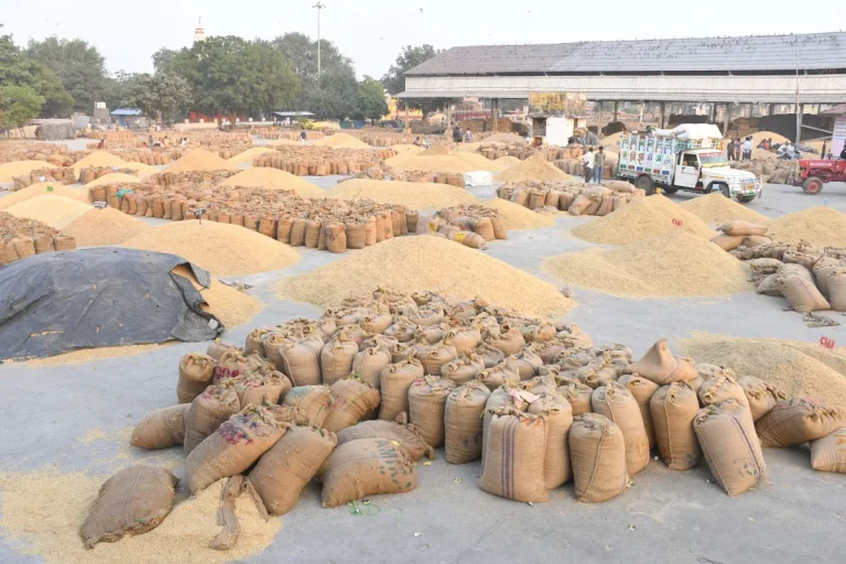 Read more about the article ਕਿਸਾਨ ਭਵਨ ‘ਚ ਪੰਜਾਬ ਸਰਕਾਰ ਨਾਲ ਮੀਟਿੰਗ ਤੋਂ ਬਾਅਦ ਫੈਸਲਾ