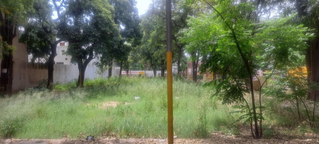 ਅਰਬਨ ਐਸਟੇਟ ਫੇਜ਼-1 ਦੇ ਪਾਰਕ ਦੀ ਹਾਲਤ ਖਸਤਾਹਾਲ, ਜੰਗਲੀ ਘਾਹ ਤੇ ਟੁੱਟੀਆਂ ਲਾਈਟਾਂ ਕਾਰਨ ਲੋਕ ਪਰੇਸ਼ਾਨ