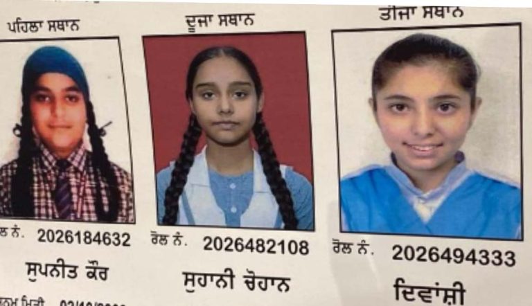 Read more about the article PSEB 12ਵੀਂ ਜਮਾਤ ਦੇ ਨਤੀਜਿਆਂ ਦਾ ਐਲਾਨ