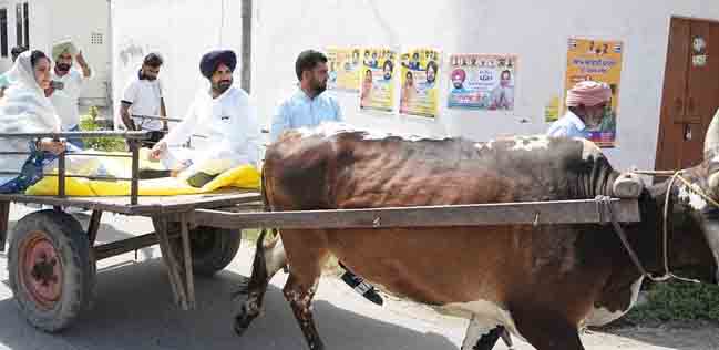 ਗੱਡੇ ‘ਤੇ ਵੋਟ ਪਾਉਣ ਪਹੁੰਚੇ ਰਾਜਾ ਵੜਿੰਗ