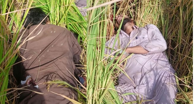 ਤਰਨਤਾਰਨ ਬਾਰਡਰ ‘ਤੇ ਘੁਸਪੈਠ ਦੀ ਕੋਸ਼ਿਸ਼ ਨਾਕਾਮ, BSF ਦੀ ਕਾਰਵਾਈ ‘ਚ 2 ਘੁਸਪੈਠੀਏ ਢੇਰ